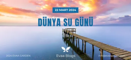 Dünya Su Günü’nde Su Tasarrufunun Önemi